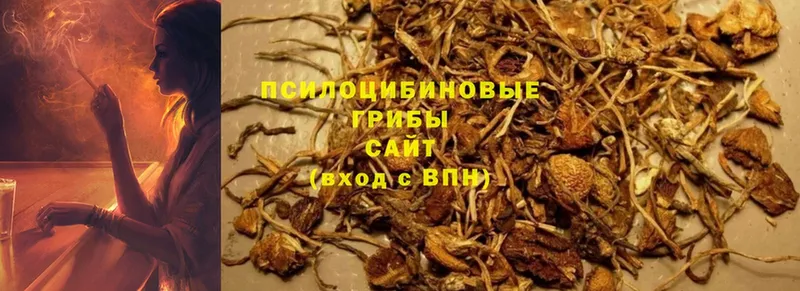 Галлюциногенные грибы Cubensis  kraken ссылки  Костерёво 